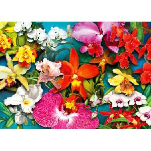 Enjoy - Puzzle Orchid Jungle - 1 000 piese