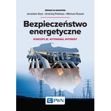 BEZPIECZEŃSTWO ENERGETYCZNE KONCEPCJE WYZWANIA INTERESY - opracowanie zbiorowe