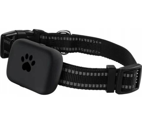 CARNEO DogSAFE+