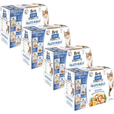 BRIT CARE Kočičí filety v želé mix 48x85 g