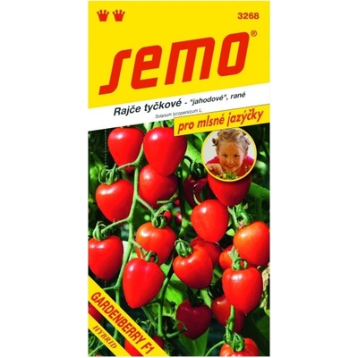 AgroBio Rajče tyčkové Gardenberry F1