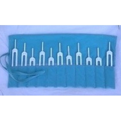 Biosonics Planetární ladičky bez závaží