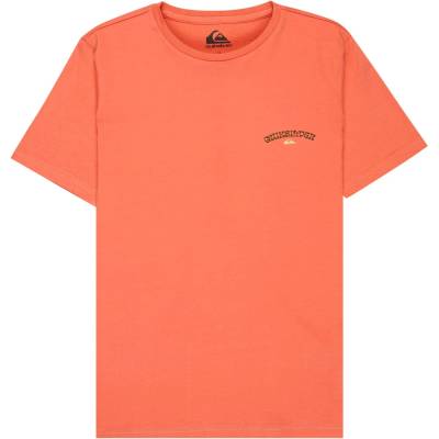 Quiksilver Детска тениска Quiksilver Kid's Urban Nomad 1 T-shirt - Desert Sand - размер 16 (US) (704-6121-0215)