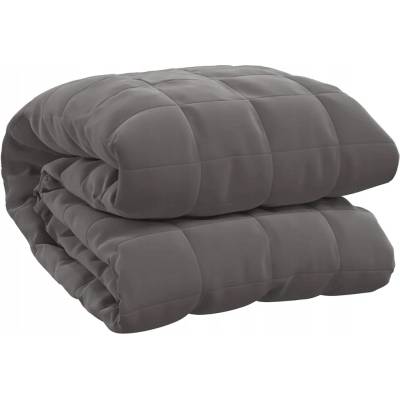 VidaXL Deka polyester šedá 122x183