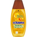 Šampony Schauma Nature Moments medový elixír a olej z opuncie mexické pro regeneraci a sílu šampon na vlasy 400 ml