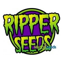 Ripper Seeds Sour Ripper AUTO semena neobsahují THC 3 ks