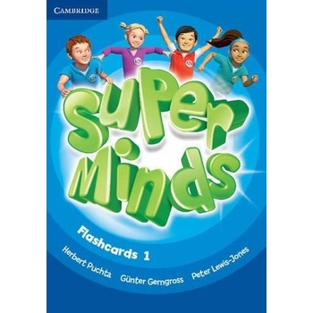 Super Minds 1 Flashcards