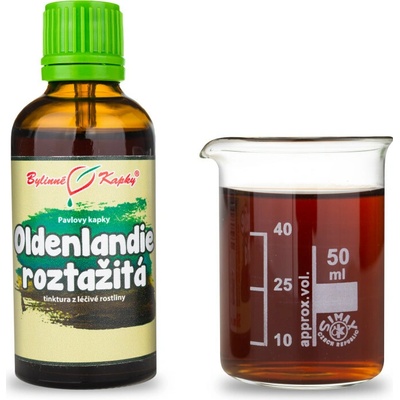 Oldenlandie roztažitá TCM pavlovy bylinné kvapky tinktúra 50 ml