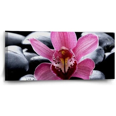 Sablio Obraz Růžová orchidea - 110x50 cm