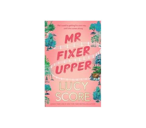 Mr Fixer Upper