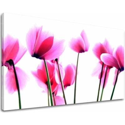 Obraz na stenu KVETY - 100x150