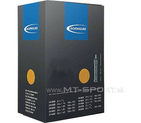 Schwalbe DV