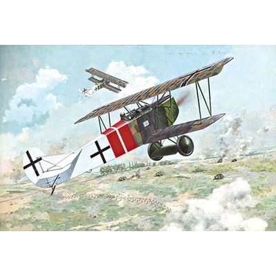 Roden Fokker D.VII Alb Late 1:48