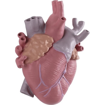 Seletti Ваза LOVE IN BLOOM 25 см, розова, Seletti (SLT09923)