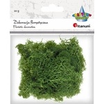 TITANUM Dark green moss 20g