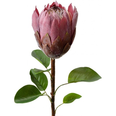 Umělá rostlina fialovo-růžová protea – 65 cm