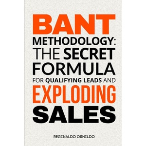 BANT Methodology | Reginaldo Osnildo (2024)