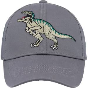 maximo Шапка с козирка Maximo Boy's Cap Dinosaur, Hook-and-Loop Fastening Cap - Grau / Blau - размер 53-55 cm (904-6335-0112)