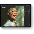 Tablety Apple iPad 10.2 (2021) 256GB Wi-Fi + Cellular Silver MK4H3FD/A