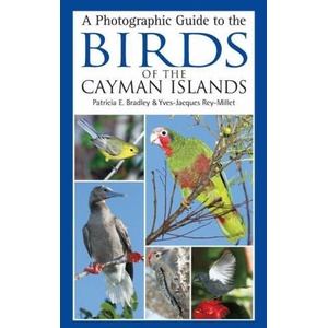 Photographic Guide to the Birds of the Cayman Islands | Patricia E. Bradley, Yves-Jacques Rey-Millet (ISBN: 9781472983534)