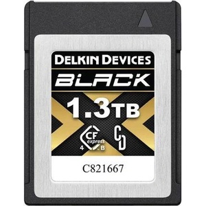 Delkin Devices Black 1.3TB DCFX4B13T