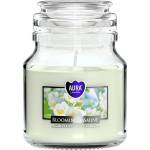 BISPOL Ароматна свещ Bispol Aura - Blooming Jasmine, 120 g (snd71-169)