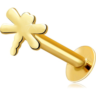 Šperky eshop piercing do rtu a brady z žlutého zlata motiv vážky S2GG206.67