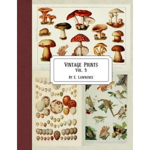 Vintage Prints: Vol. 5 | E. Lawrence (ISBN: 9781720746270)