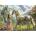 Educa Puzzle 500 pieces. Fairy, unicorn and butterfly