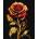 Ideyka Painting by numbers - Beauty symbol 40x50cm