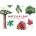 Laurence king pub Match a Leaf: A Tree Memory Game | Tony Kirkham, Holly Exley