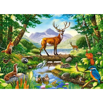 Castorland - Puzzle Woodland Harmony - 300 piese