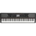 KORG HAVIAN 30