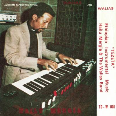 Tezeta - Hailu Mergia and the Walias Band LP
