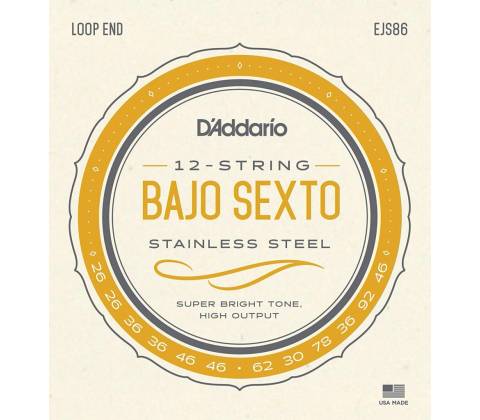 D'Addario EJS86
