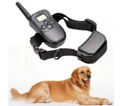 Petrainer PET998DR