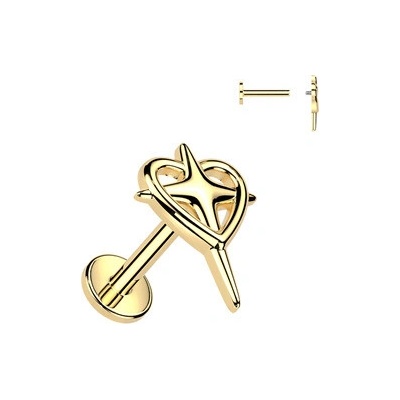 Šperky4U Zlacený piercing do ucha nebo brady labreta LB1157GD-1208