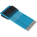 Steambow Stinger duralový 6,3″ 10 ks