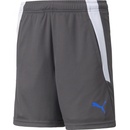 Puma teamLIGA Training shorts 2 jr 65766844