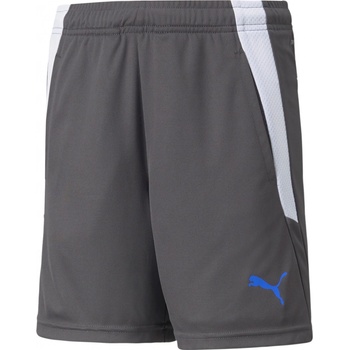 Puma teamLIGA Training shorts 2 jr 65766844
