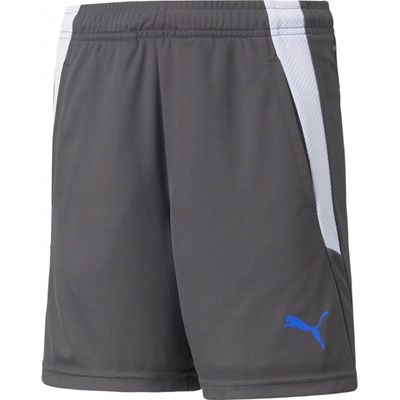 Puma teamLIGA Training shorts 2 jr 65766844