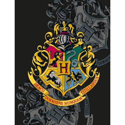 HALANTEX Flísová deka HARRY POTTER Black