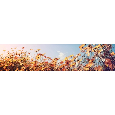 Dimex KI260-123 Fototapeta do kuchyně Spring Meadow rozměry 260 x 60 cm