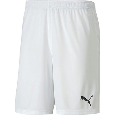 Puma teamGOAL 23 knit