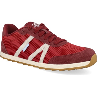 Xero shoes Wynn Salsa red červené