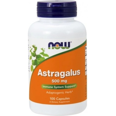 Now Foods Kozinec Astragalus 500 mg 100 kapslí