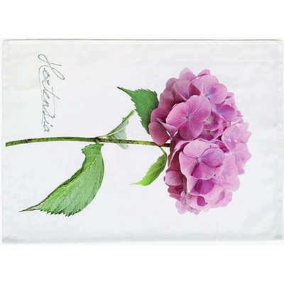 Škodák hortenzie 50 × 71 cm fialová