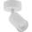TK Lighting 6197
