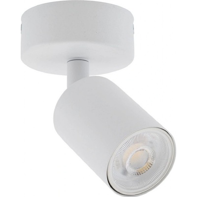 TK Lighting 6197