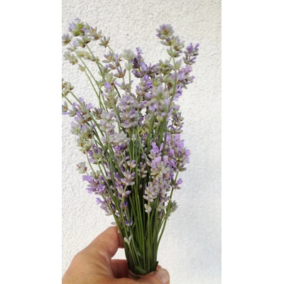 HAND MADE Sušená kytička světlá levandule Francouzká Velikost S: střední